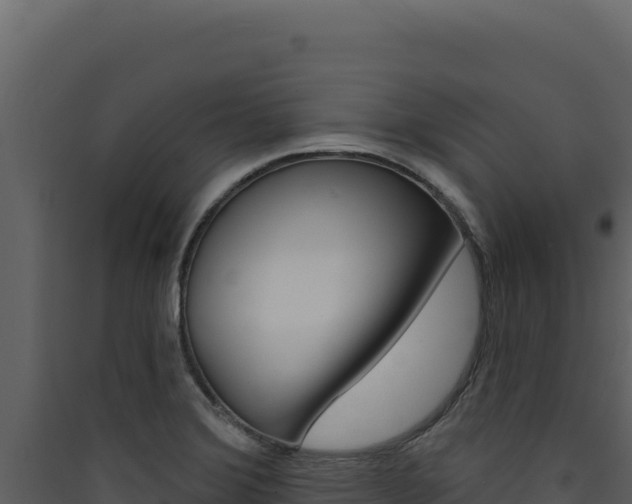 X0000090441372200707131021