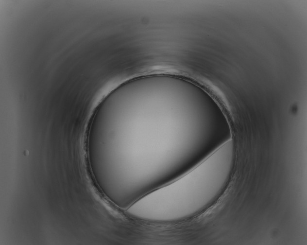 X0000090441373200707131021