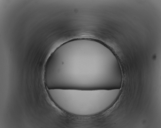 X0000090441374200707131021