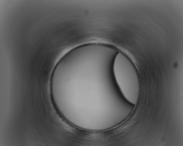 X0000090441375200707131021