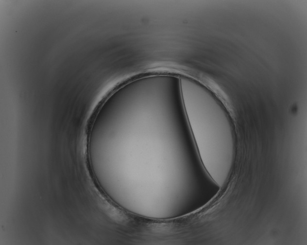 X0000090441376200707131021