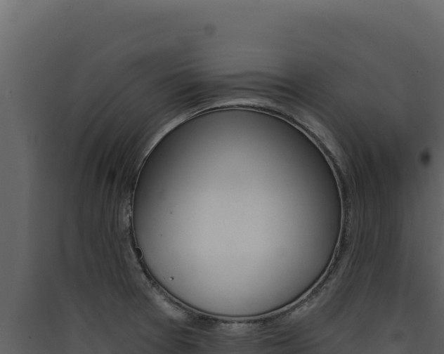 X0000090441377200707131021