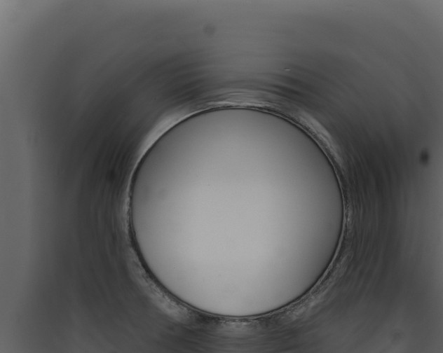 X0000090441378200707131021