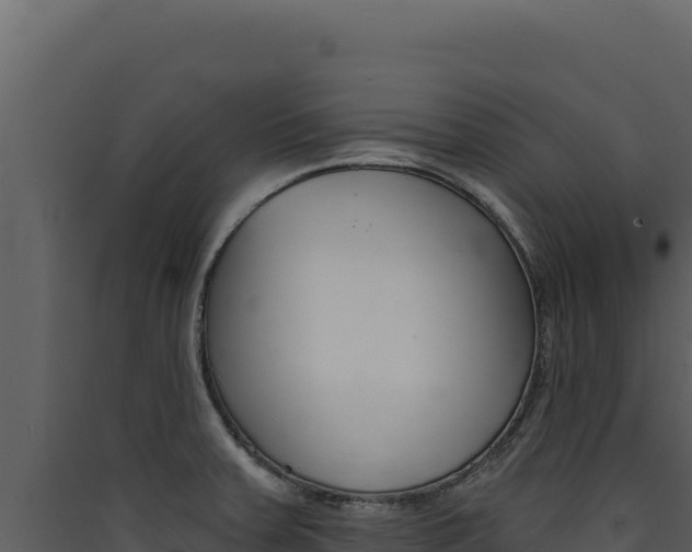 X0000090441379200707131021