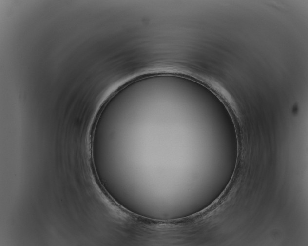 X0000090441380200707131021