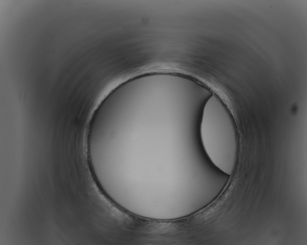X0000090441382200707131021