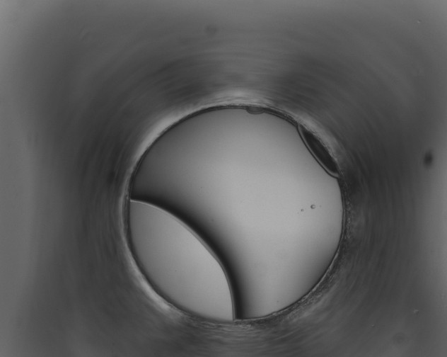 X0000090441383200707131021