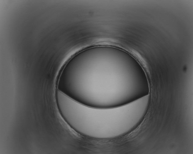 X0000090441384200707131021