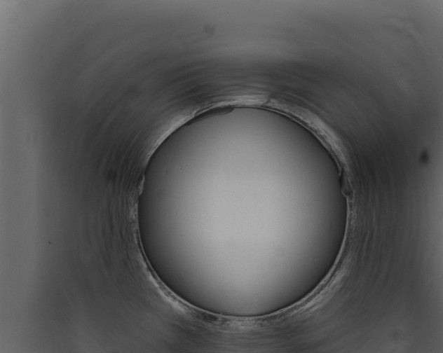 X0000090441385200707131020