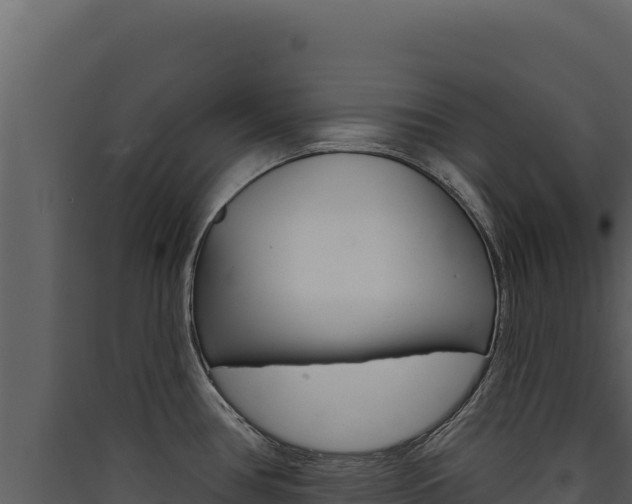 X0000090441386200707131020