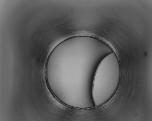 X0000090441387200707131020