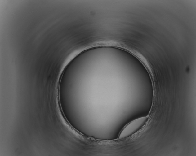 X0000090441389200707131020