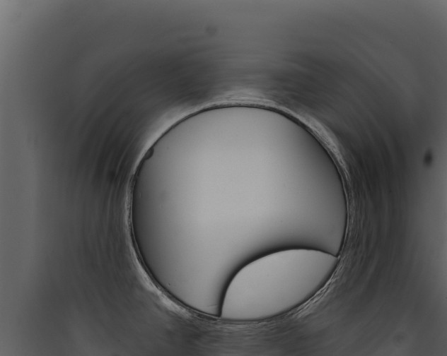 X0000090441390200707131020