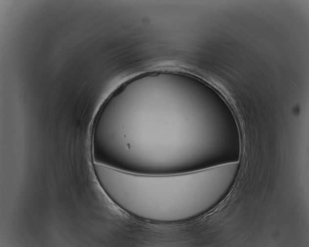 X0000090441392200707131020