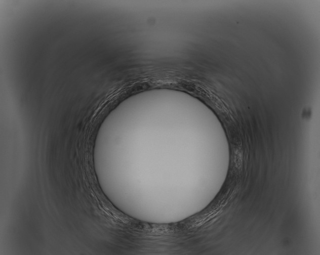 X0000090441393200707131020