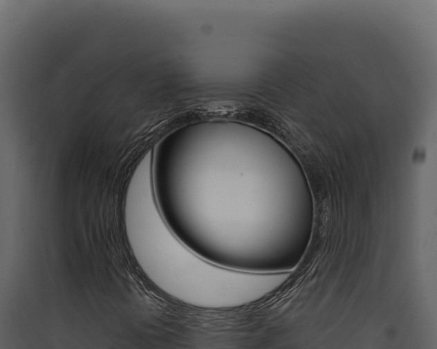 X0000090441394200707131020