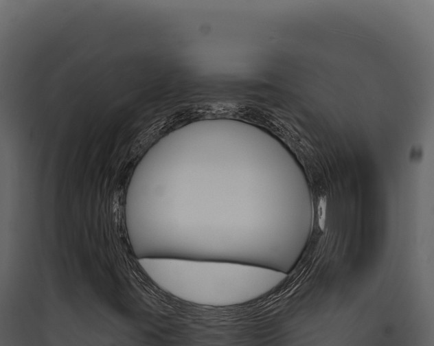 X0000090441395200707131020