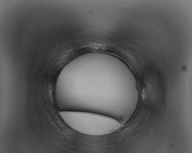 X0000090441396200707131020