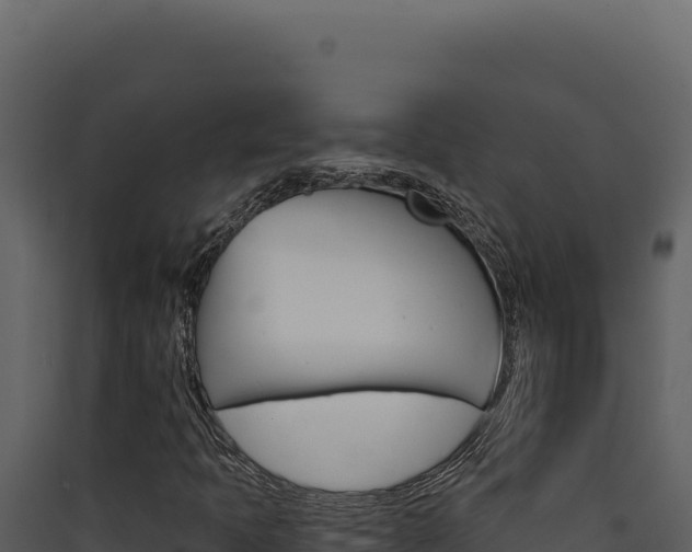 X0000090441397200707131020