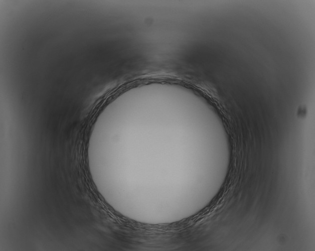 X0000090441398200707131020