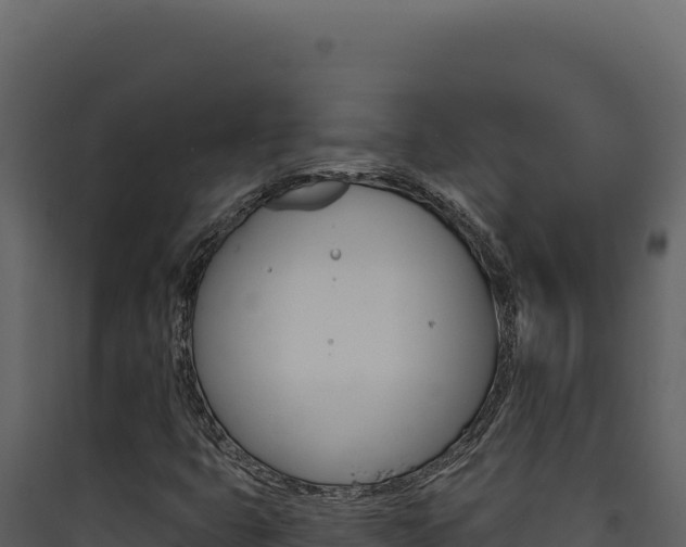 X0000090441399200707131020