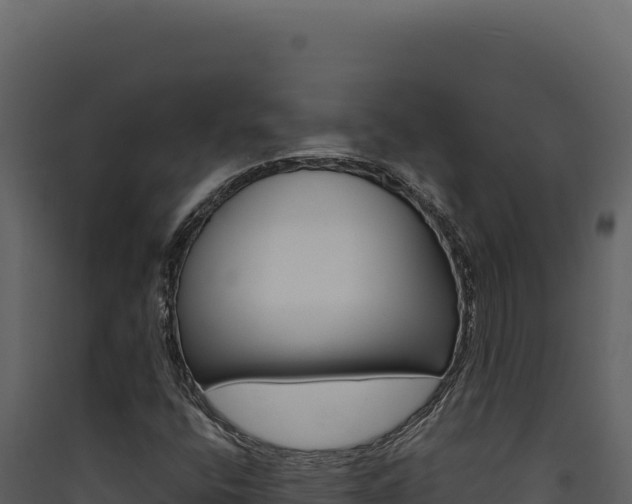 X0000090441400200707131020