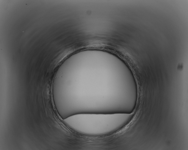 X0000090441401200707131020