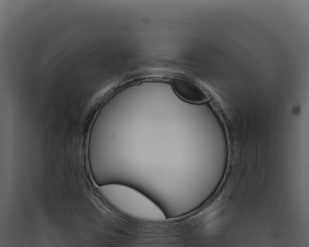 X0000090441403200707131020