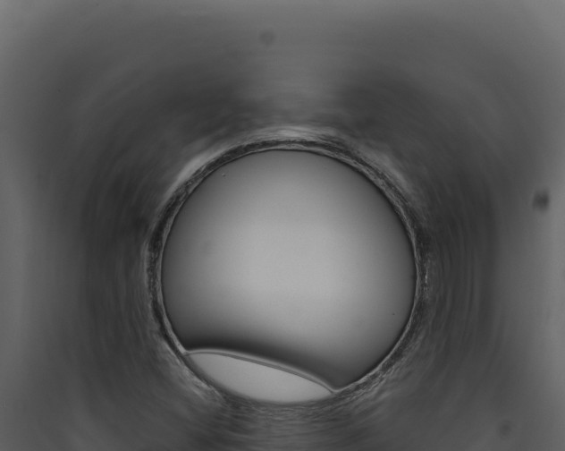 X0000090441404200707131020