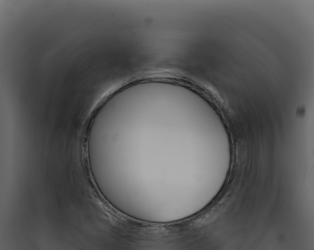 X0000090441405200707131020