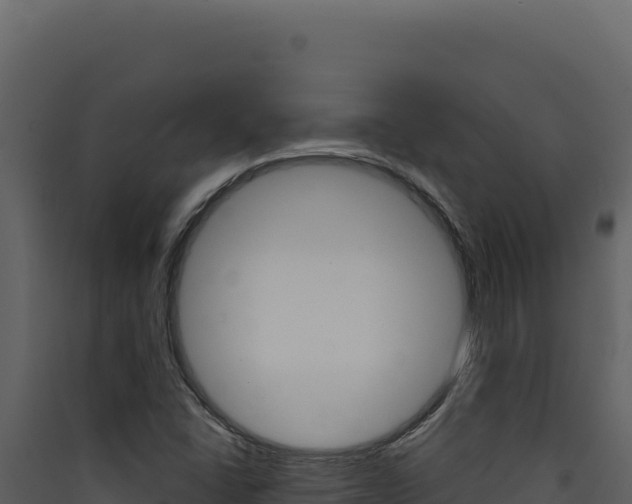 X0000090441406200707131020