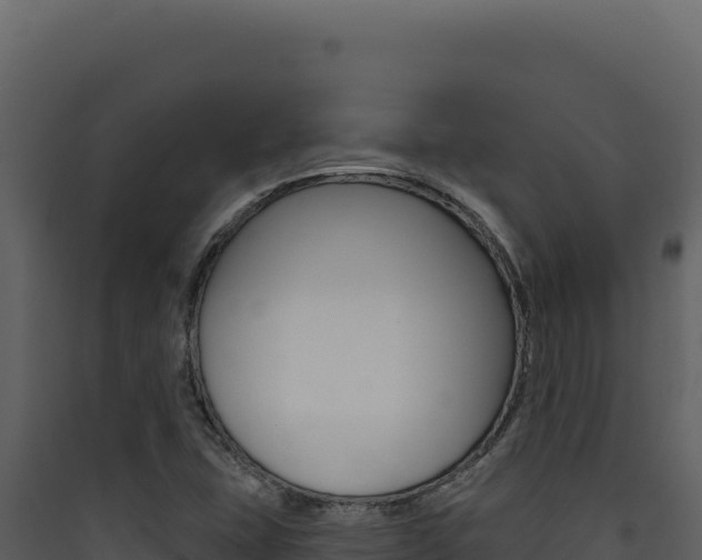 X0000090441407200707131020