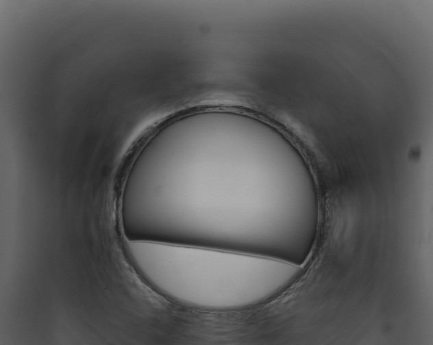 X0000090441408200707131020