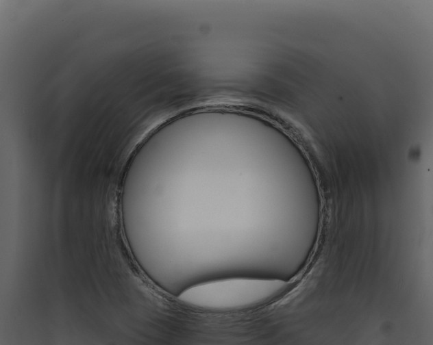 X0000090441409200707131020
