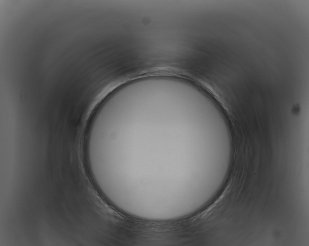 X0000090441410200707131020