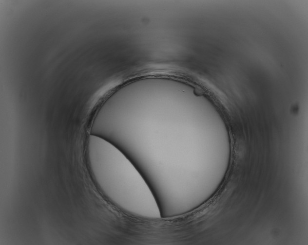 X0000090441411200707131020