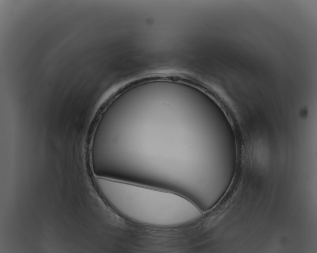 X0000090441412200707131020