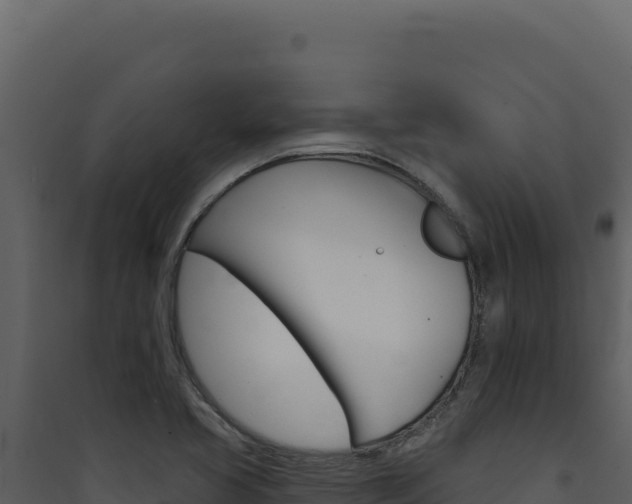 X0000090441413200707131020