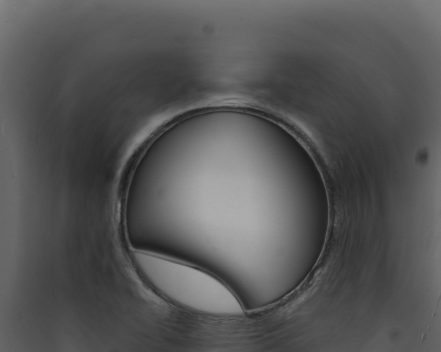 X0000090441414200707131020