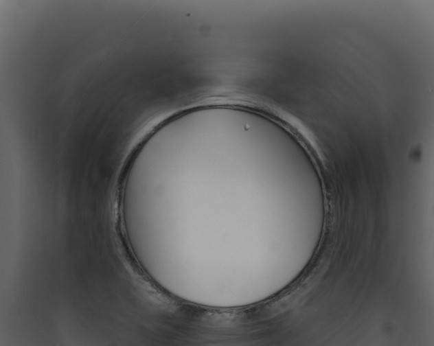 X0000090441415200707131020