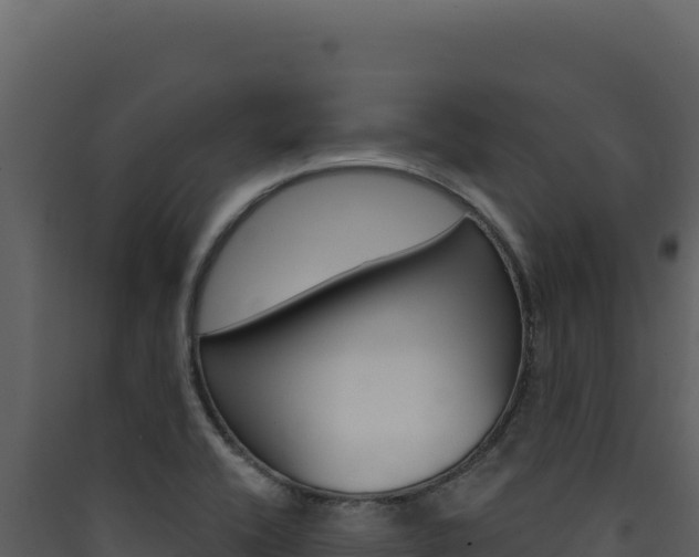 X0000090441416200707131020
