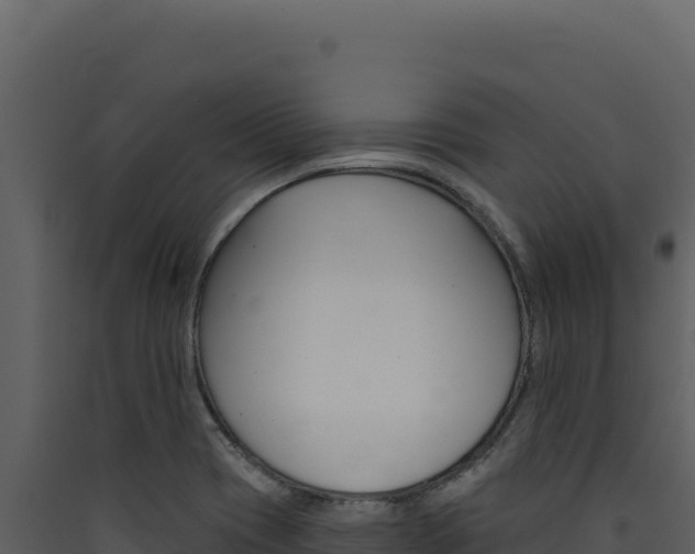 X0000090441417200707131020