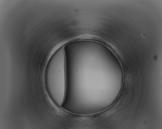 X0000090441418200707131020