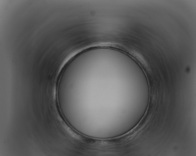 X0000090441420200707131020