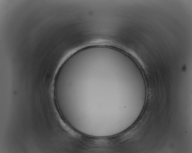 X0000090441421200707131020