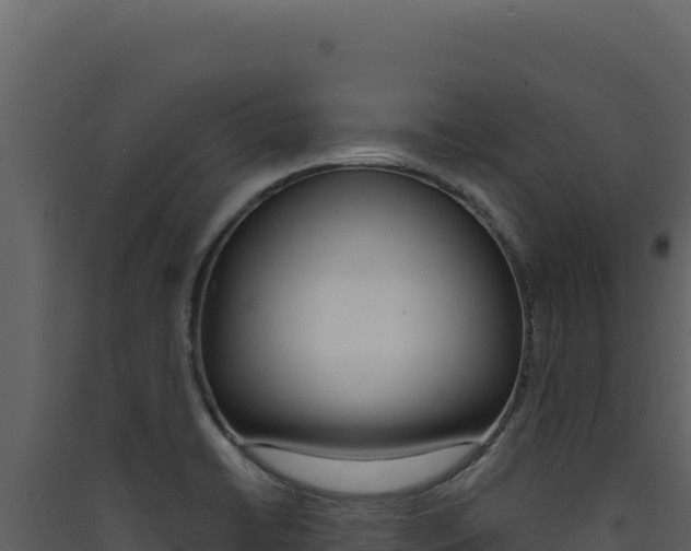 X0000090441422200707131020