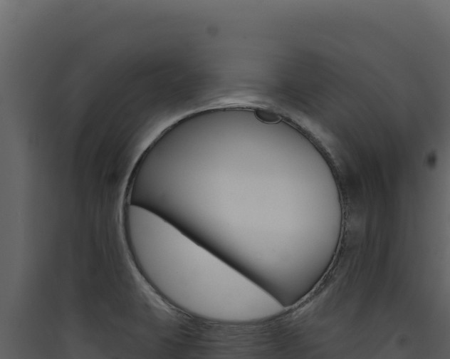 X0000090441423200707131020