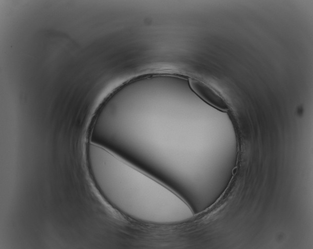 X0000090441424200707131020