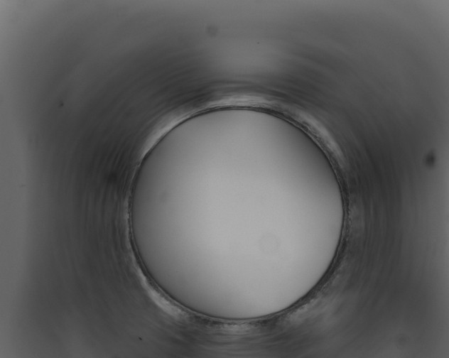 X0000090441425200707131020