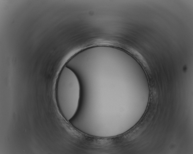 X0000090441427200707131020